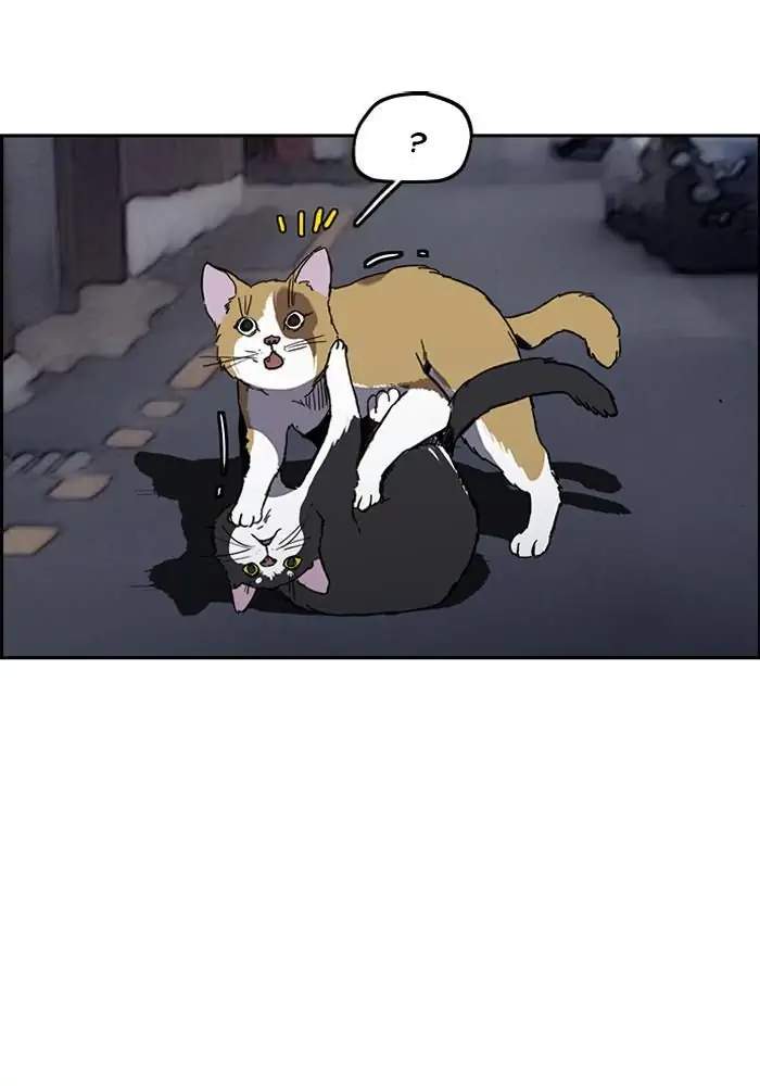 Wind Breaker Chapter 237