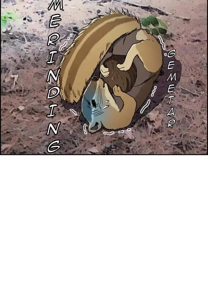 Wind Breaker Chapter 260